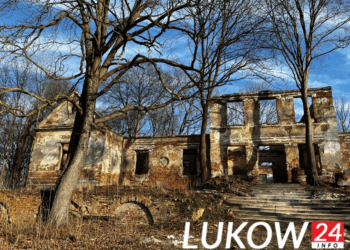 Ruiny Pałacu w Wesołówce – film, zdjęcia