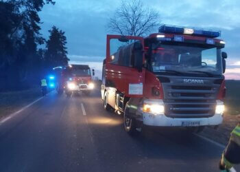 Zderzenie busa z Jeleniem w Szczygłach Górnych.