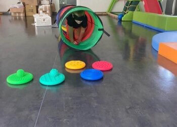 Usługa Poradnictwa Specjalistycznego w Gminie Wojcieszków.