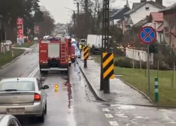 Wjechał autem dostawczym w ogrodzenie. Życia kierowcy nie udało się uratować.
