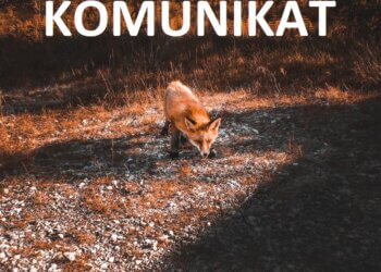 Komunikat dotyczący wiosennej akcji szczepienia lisów.