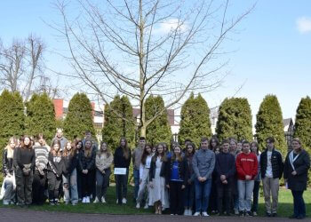 Dąb Katyński w I LO w Łukowie.