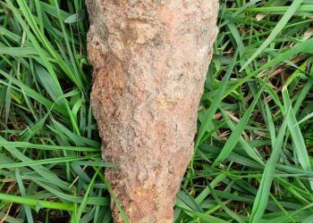 Niewybuchy w Woli Mysłowskiej, oraz Karwaczu.