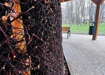 Tężnia solankowa w Łukowie.