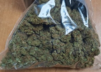 Areszt tymczasowy za znaczną ilość narkotyków.