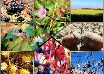 Jesienne kadry uczniów Zespołu Szkół w Gręzówce.