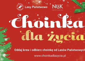 Oddaj krew, odbierz choinkę.