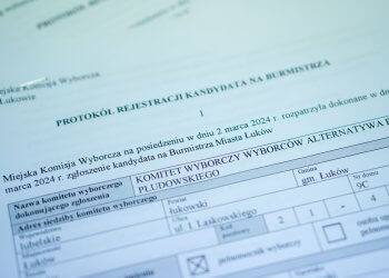 Alternatywa Piotra Płudowskiego zarejestrowana.