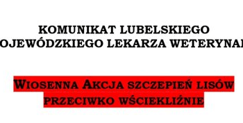 Szczepienie lisów w województwie Lubelskim.