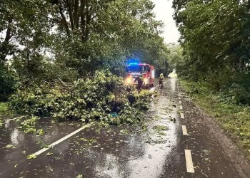Podsumowanie interwencji strażaków po przejściu frontu burzowego nad powiatem łukowskim.