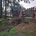 Intensywne działania strażaków w powiecie łukowskim po gwałtownych burzach.
