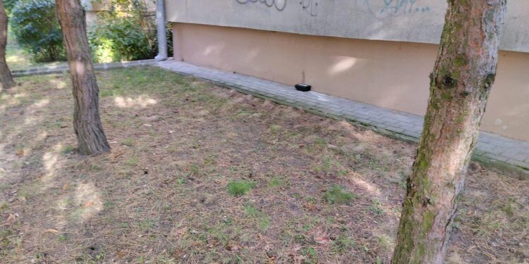 Łukowska Spółdzielnia Mieszkaniowa rozpoczęła deratyzację osiedli Klimeckiego i Chącińskiego.