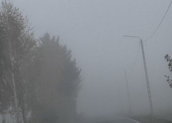 Ostrzeżenie IMGW. Gęste mgły w Powiecie Łukowskim.