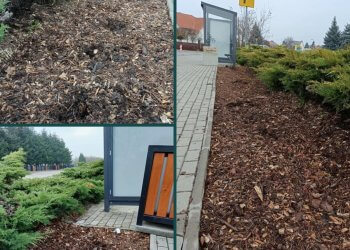 Kradzież róż na ul. Wereszczakówny oburzył mieszkańców Łukowa.