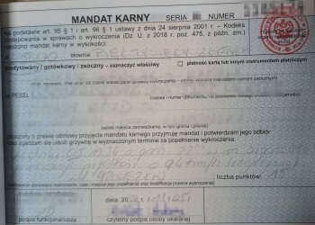 Młody kierowca z recydywą.