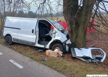 Wypadek w Drożdżaku, samochód uderzył w drzewo.