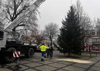 Świąteczna Choinka Wkrótce rozświeci Plac Solidarności i Wolności.