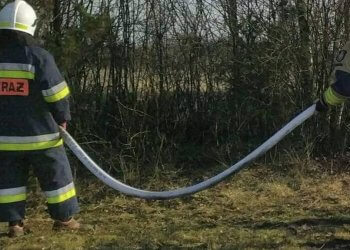 Pożar nieużytków w Ferdynandowie.