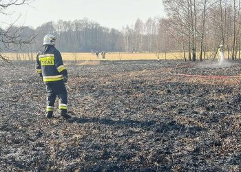 Alarmujący wzrost pożarów traw w powiecie łukowskim.