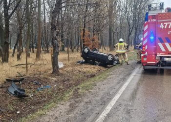 Opel wylądował w rowie. Interweniowało kilka jednostek.