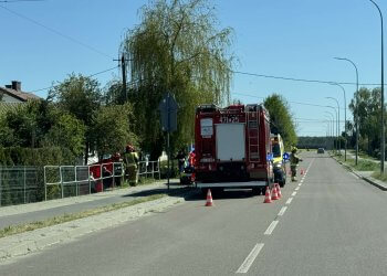 Zwłoki kobiety znalezione przy drodze w Wojcieszkowie