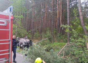 Śmiertelny wypadek w gminie Stoczek Łukowski. Opel uderzył w łosia i drzewo – dwie osoby nie żyją. Fot. KP PSP Łuków