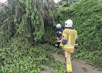 OSP Ferdynandów w akcji – usuwanie skutków powalonych drzew w Władysławowie i Dąbrówce